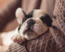 7 Facts About Naps That Will Surprise You