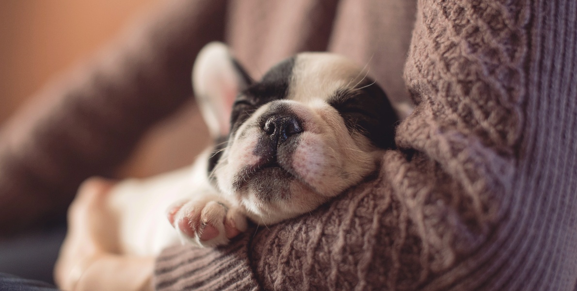 7 Facts About Naps That Will Surprise You
